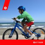 velo-enfant-attabo-ease-20 (1)
